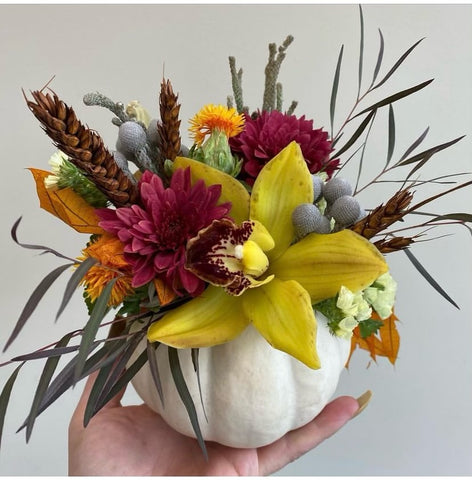 Thanksgiving Pumpkin