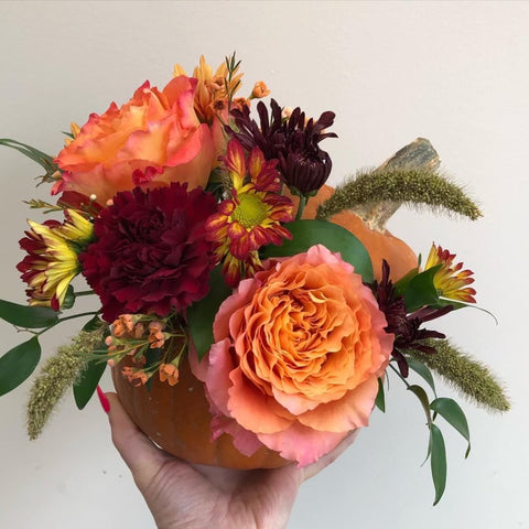 Thanksgiving Pumpkin